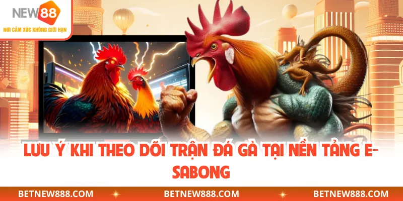 Lưu ý khi theo dõi trận đá gà tại nền tảng E-Sabong